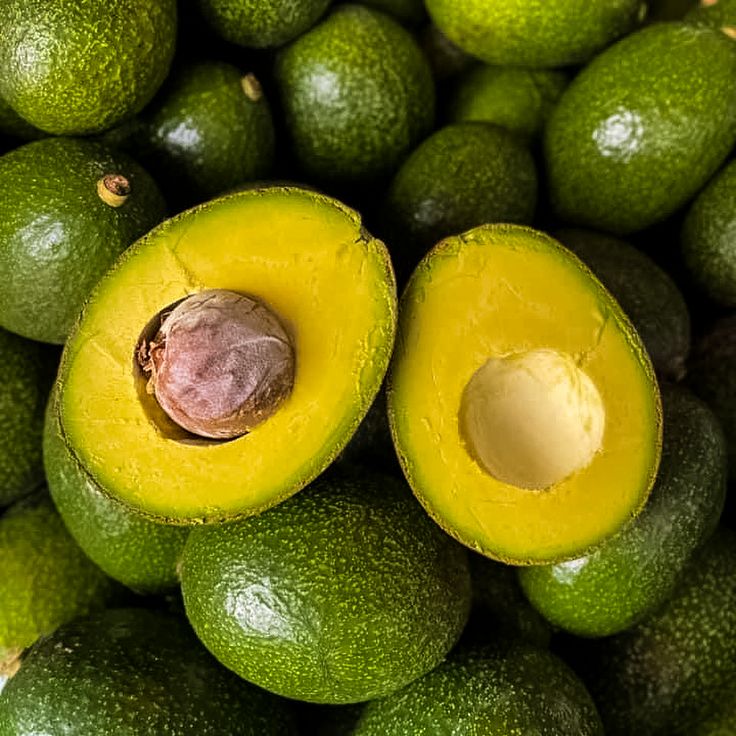 Mengenal Ragam Jenis Alpukat dan Ciri Khasnya